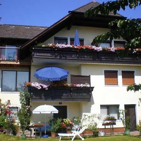 Apartments Blaschegg Im Zentrum Альтмюнстер Экстерьер фото