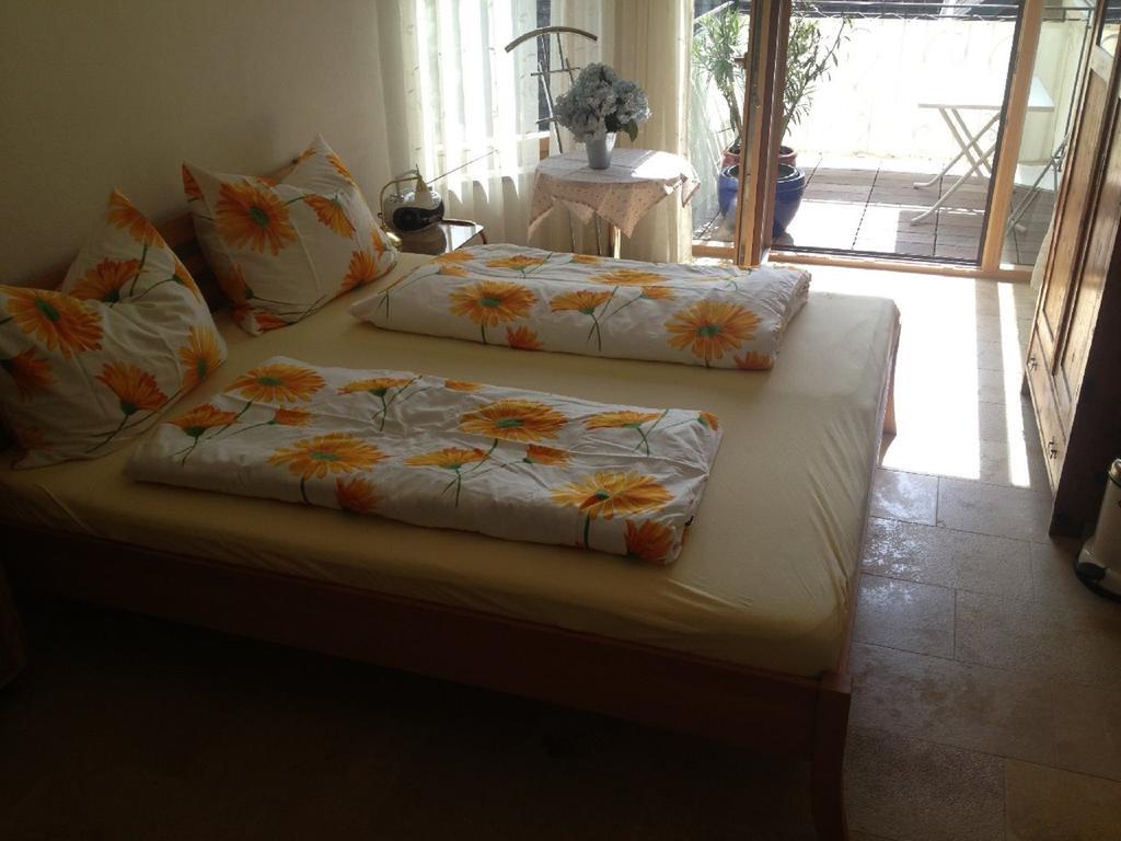 Apartments Blaschegg Im Zentrum Альтмюнстер Номер фото